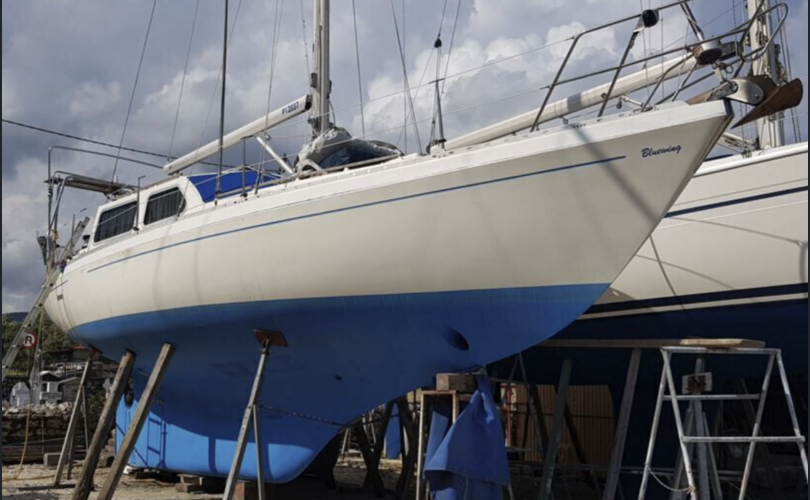 Trident Voyager 35-kuva-1